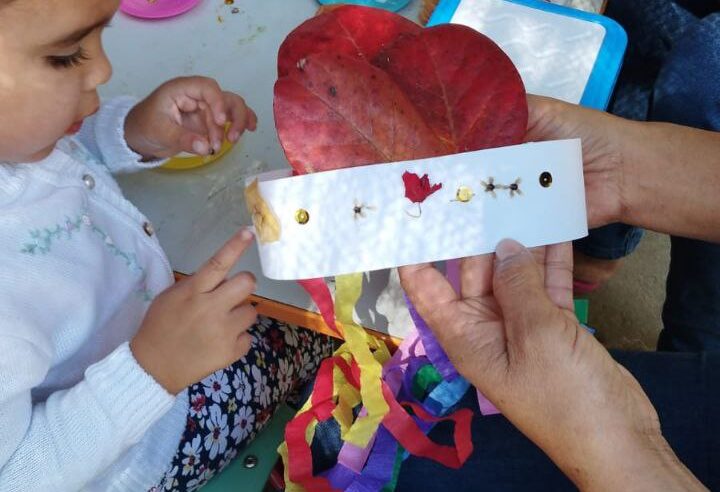 CULTURA E PRESERVAÇÃO | Prefeitura de Montes Claros celebra o Dia do Folclore com Oficina da Natureza no Parque Milton Prates