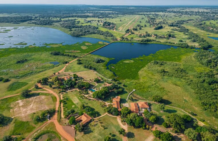 Turismo de conservação transforma viagens em experiências de impacto positivo