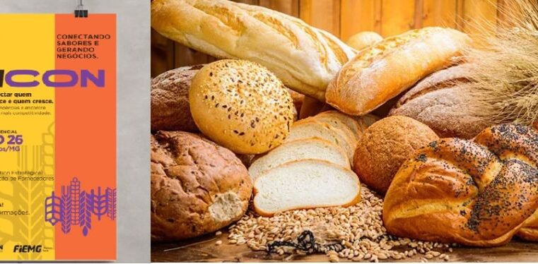 Sindpan-Norte e FIEMG vão promover a primeira edição da PANICON 2026 em Montes Claros