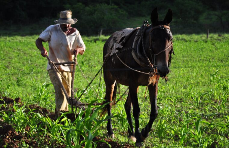 Prefeitura de Montes Claros apresenta resultados do Promater e destaca avanços no desenvolvimento rural