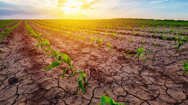 CALOR SEVEROS NO NORTE DE MINAS | Consequências da seca para a saúde e agricultura