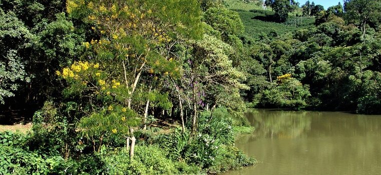 Governo de Minas convoca para 5ª Conferência Estadual do Meio Ambiente