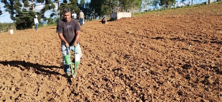 Implantação de unidades demonstrativas visa expandir o cultivo de arroz em áreas de sequeiro na Zona da Mata