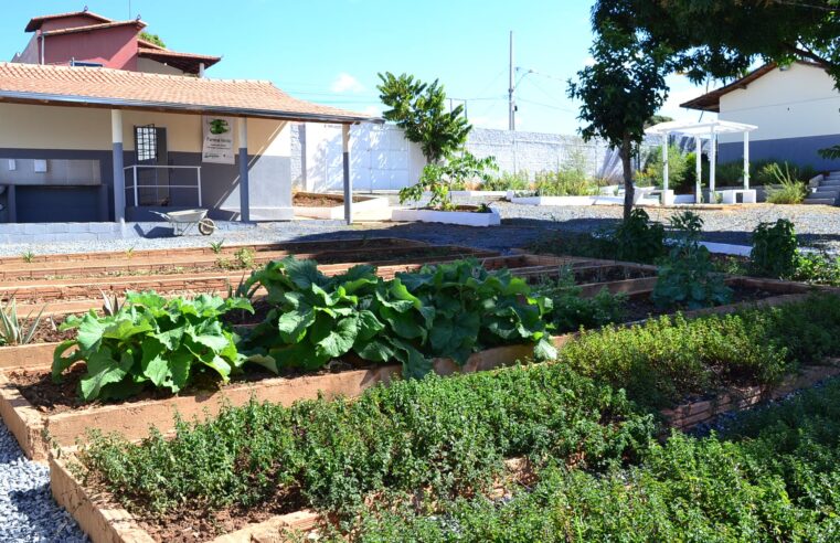 Farma Verde Montes Claros, referência em plantas medicinais e fitoterápicas, atrai estudantes, pesquisadores e fortalece parcerias científicas