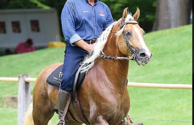 Copa de Marcha Mangalarga Marchador do Norte de Minas movimentará o Parque de Exposições em novembro