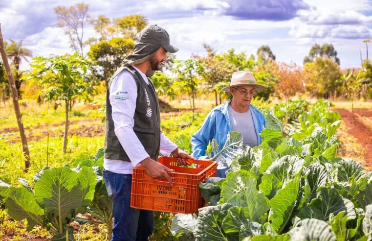 AMAMS garante inclusão de mais de 2 mil famílias do Norte de Minas