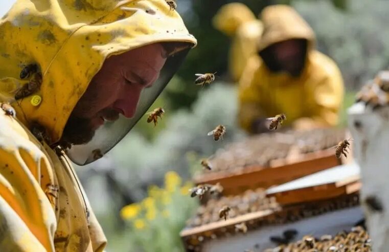 O papel transformador da educação empreendedora na formação de educadores