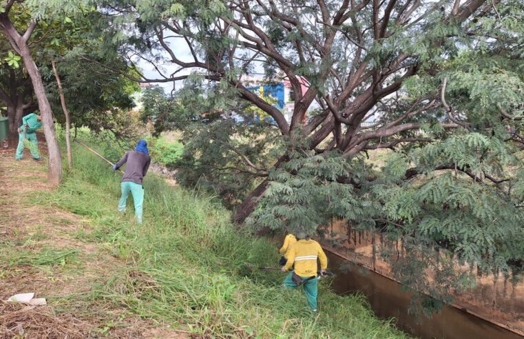 Prefeitura intensifica serviços de limpeza e manutenção na Avenida Sidney Chaves em Montes Claros