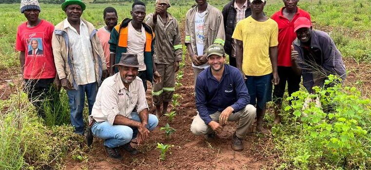 Epamig contribui para o desenvolvimento sustentável da cafeicultura