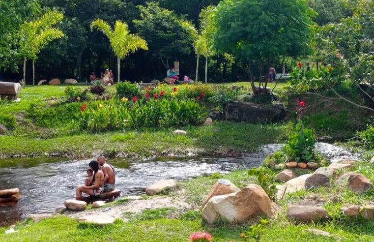 Desbravando o Parque Estadual Serra do Cabral