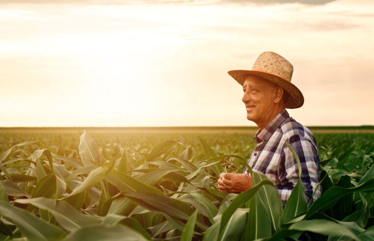 Dia do Agricultor será celebrado com ações integradas na Ceanorte para valorizar o trabalho do campo em Montes Claros