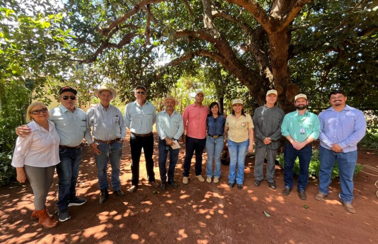 Dia de Campo em Montes Claros destaca soluções para o Semiárido