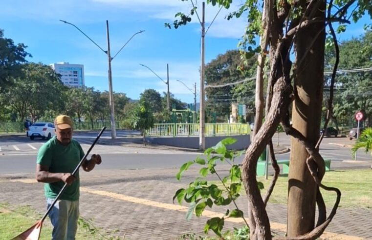 Prefeitura intensifica cuidados com áreas verdes e reforça qualidade de vida