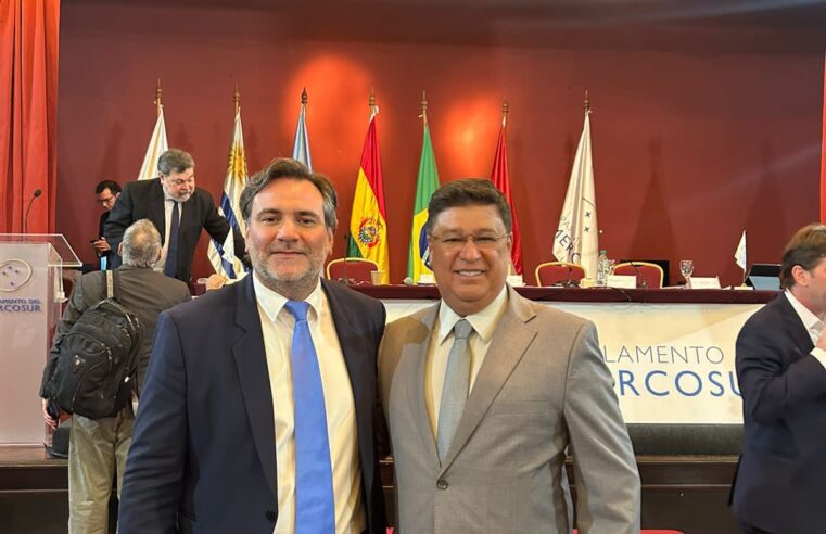 Carlos Viana toma posse como membro do Parlamento do Mercosul