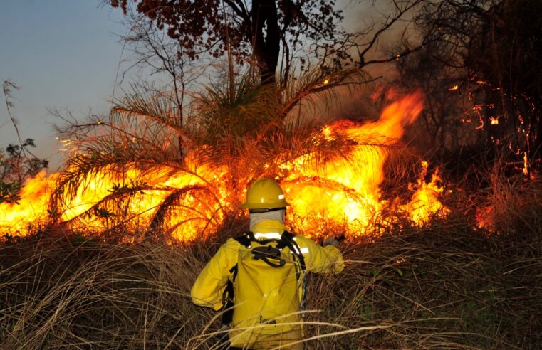 Governo de Minas une forças para evitar incêndios florestais no estado