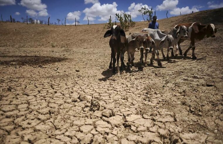 Estado prorroga situação de emergência por causa da seca