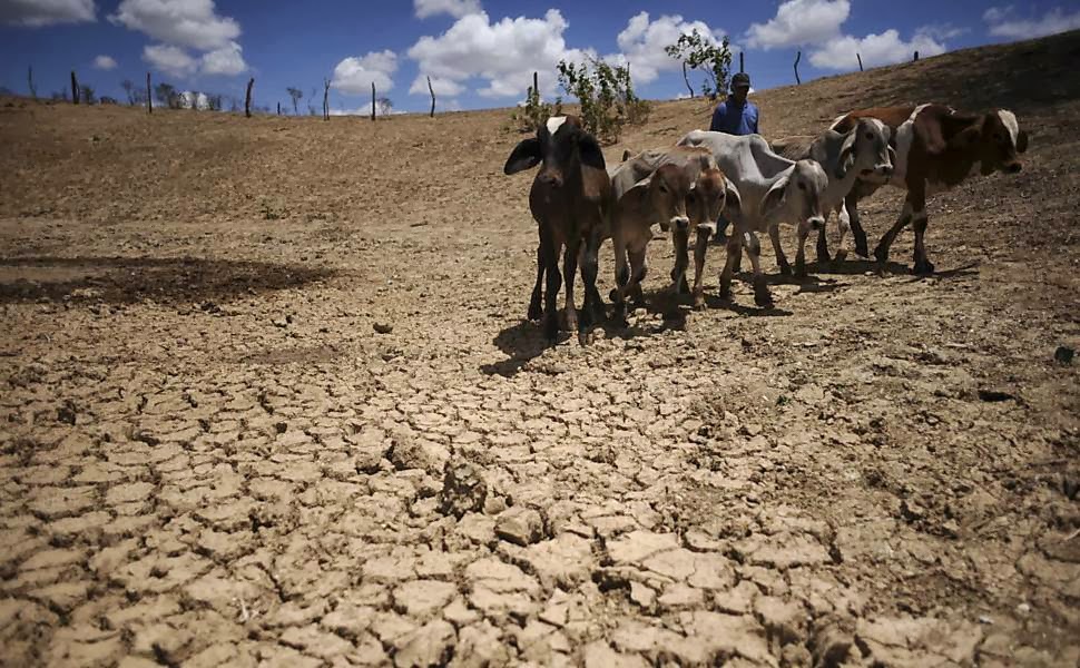 Estado prorroga situação de emergência por causa da seca
