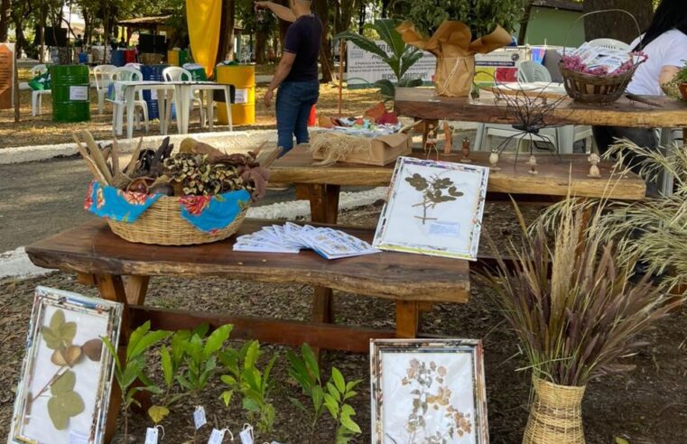 Obras em ponte da Sidney Chaves estão em fase final