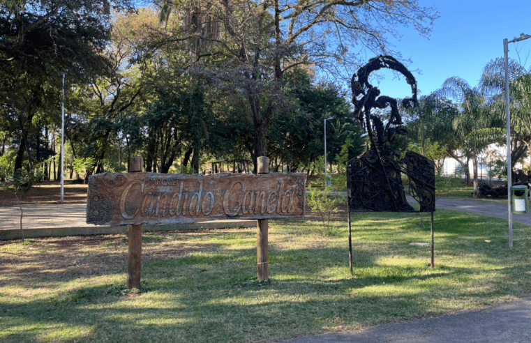 Festival Floresça reúne mulheres empreendedoras em programação gratuita no Parque Cândido Canela