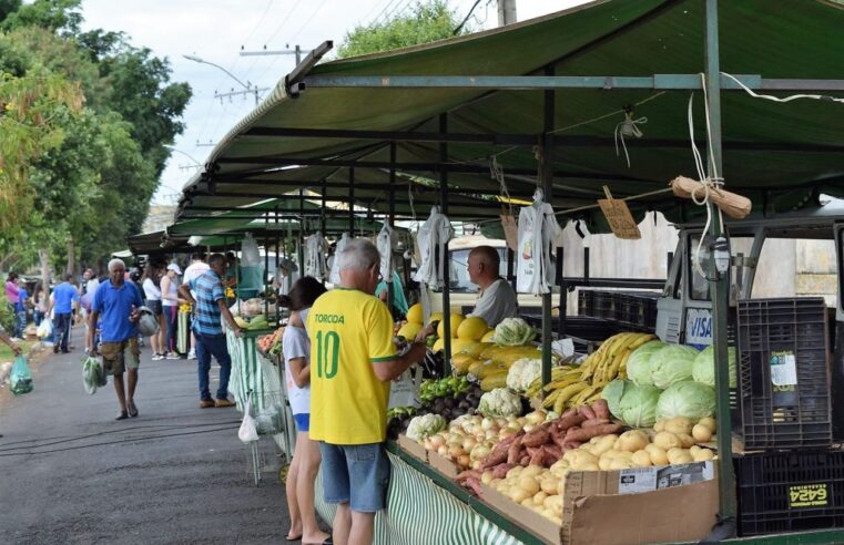 Das barracas à renda: feiras livres transformam economia e criam oportunidades em Montes Claros