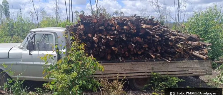 Caminhão com documentos irregulares e carga de madeira furtada é abandonado após ação policial em Rio Pardo de Minas
