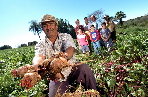 Valor contratado por agricultores familiares no BNB dobra em quatro anos