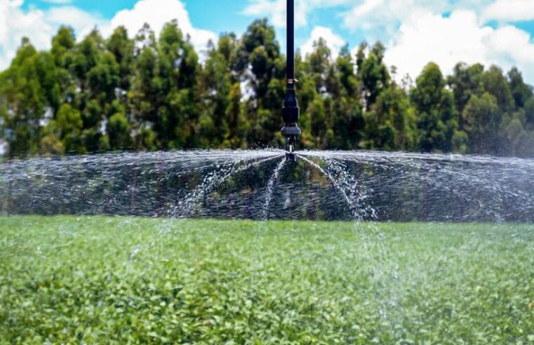 ÁGUA PARA TODOS | Nova lei garante irrigação sustentável