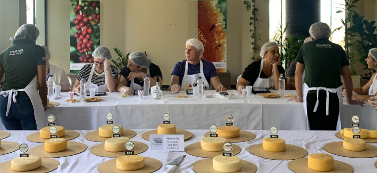 Começam as inscrições para a escolha dos melhores Queijos Artesanais de Minas Gerais em 2025