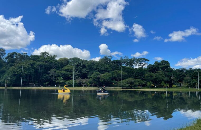 Quer defender o meio ambiente? Participe da eleição do CODEMA 2025/2027 em Montes Claros