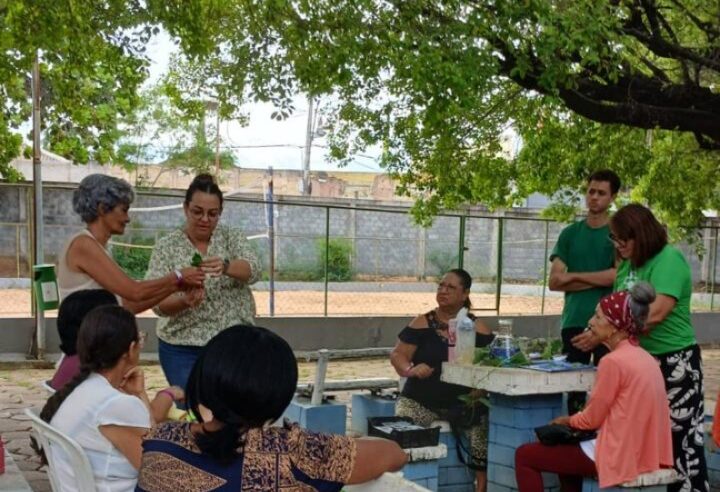 SABEDORIA, TRADIÇÃO E SUSTENTABILIDADE | Educação Ambiental integra crianças e idosos durante Colônia de Férias em Montes Claros