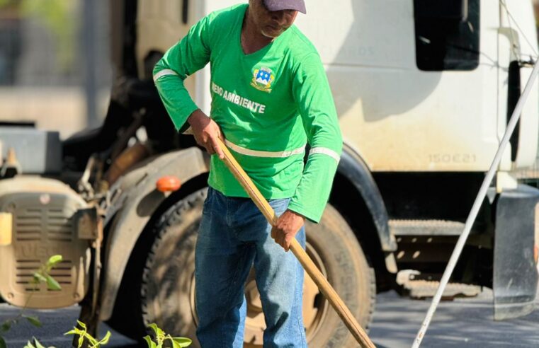 Podas educativas reforçam segurança urbana e preservação ambiental em Montes Claros