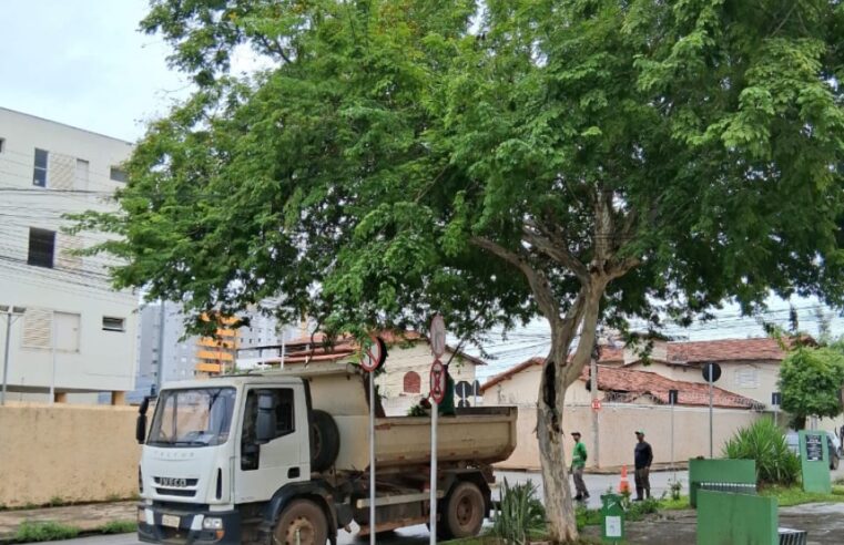 Prefeitura de Montes Claros intensifica podas e capina para reforçar a segurança e o bem-estar da população