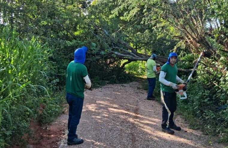 Prefeitura intensifica poda e capina para garantir mobilidade e segurança em Montes Claros