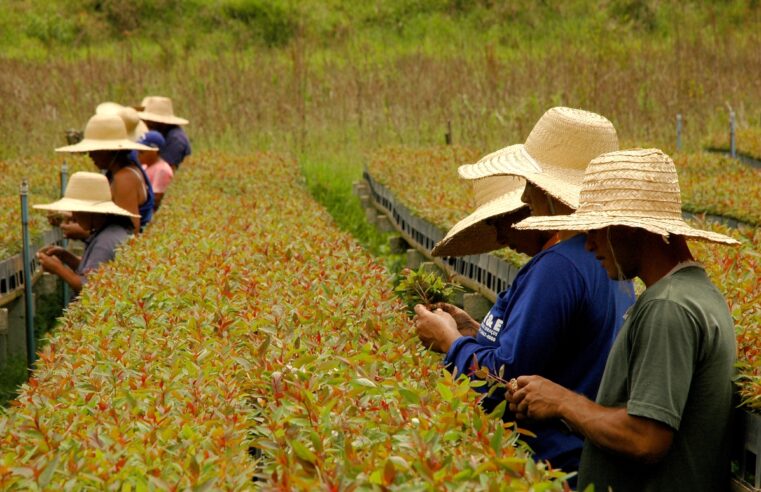 Estudantes de Minas se preparam para Etapa Estadual da 6ª Conferência pelo Meio Ambiente