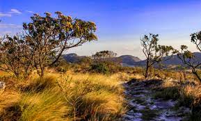 Doutoranda da Unimontes tem projeto/empresa aprovado em Edital do Programa Inova Cerrado