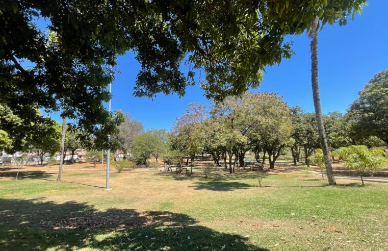 Parque das Mangueiras preserva história e oferece lazer perto do Centro