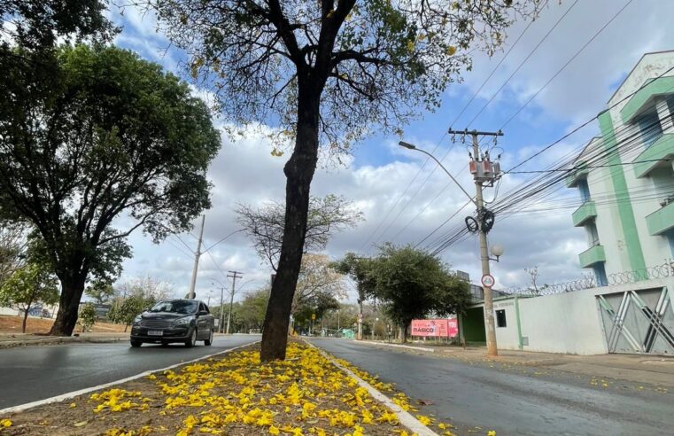 Em Montes Claros, a nova estação trouxe chuvas e esperança