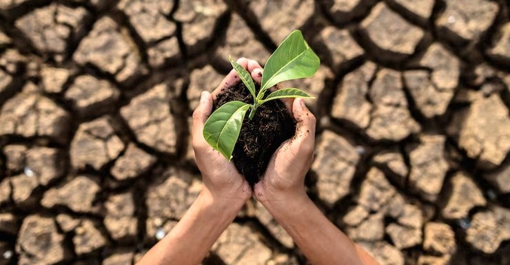 Prefeitura de Montes Claros reforça conscientização ambiental no Dia Nacional sobre as Mudanças Climáticas