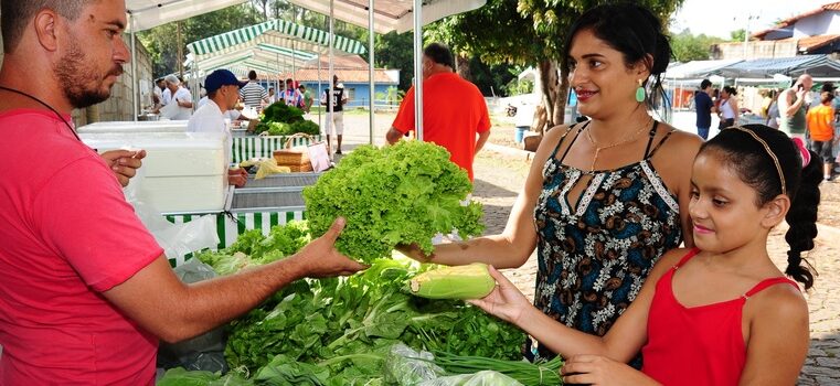 Feiras livres geram renda para agricultores de quase 700 municípios mineiros