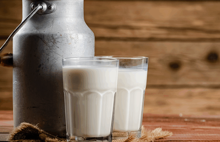 Programa “LEITE PARA A 1ª INFÂNCIA” vai beneficiar crianças em situação de vulnerabilidade social em Montes Claros