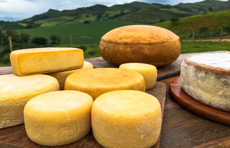 Seminário discute melhorias nos processos produtivos e valorização dos queijos artesanais de Minas