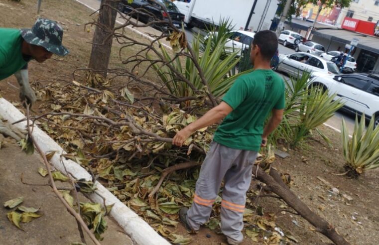 CUIDADOS CONTÍNUOS | Prefeitura de Montes Claros intensifica manutenção diária em praças, parques e jardins após período de chuvas