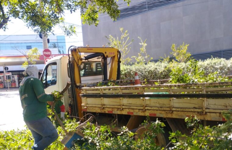 VERDE QUE TE QUERO VERDE | Prefeitura reforça manutenção e segurança em parques, praças e jardins de Montes Claros