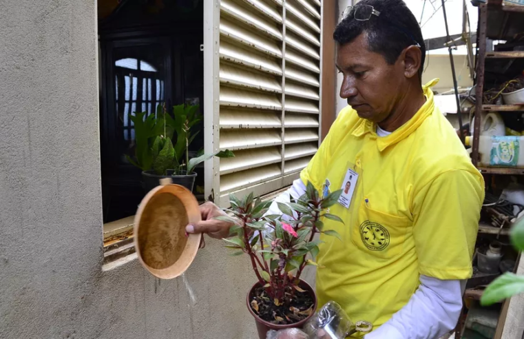 Montes Claros registra aumento de 176 casos de dengue na semana