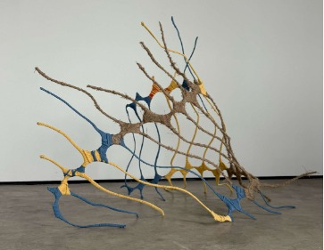 Museu da Unimontes convida para mergulho poético no cotidiano com a mostra “O que brota do comum” 