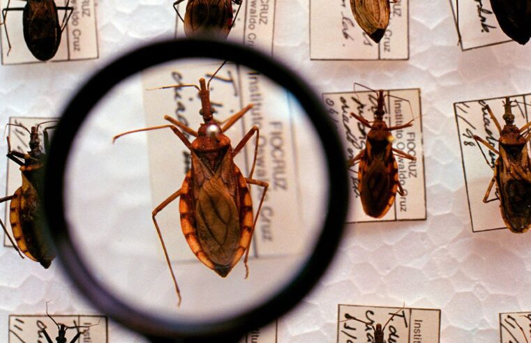 Funed tem papel fundamental no controle da doença de Chagas