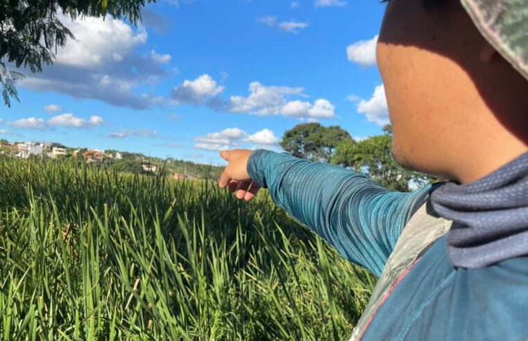 Revitalização da Lagoa Interlagos avança com responsabilidade e critérios ambientais