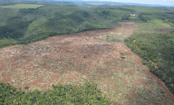 Multas em operação de combate ao desmatamento superam R$ 15 milhões