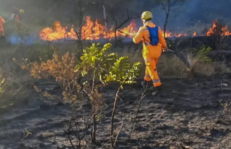 Governo de Minas divulga balanço das operações de combate aos incêndios florestais