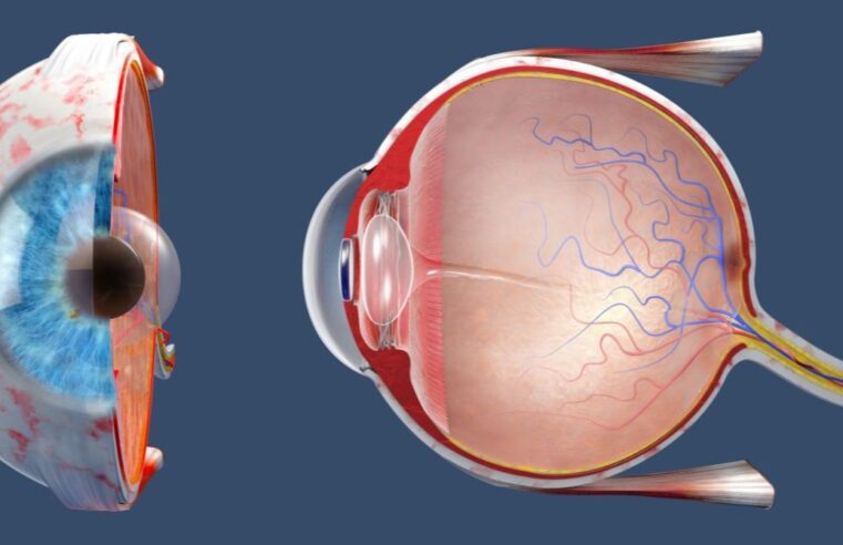 Hospital da Unimontes realiza segunda retirada de globo ocular para doação de córneas e retoma procedimento após uma década